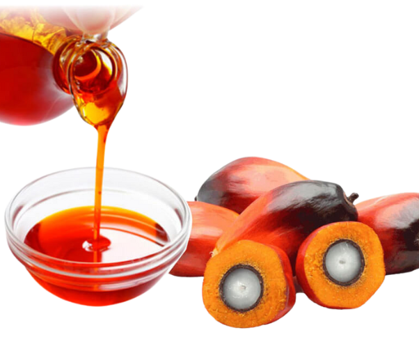 Palm Kernel Oil (1kg)