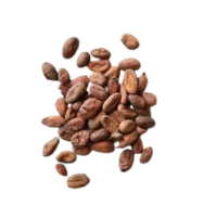 Cocoa Beans (1kg) - Image 3